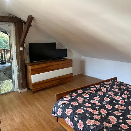 公寓 Charmante Maison Bietlenheim